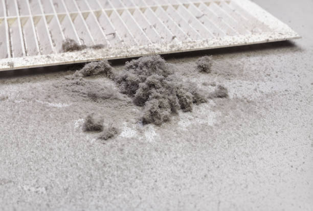 Best Air Duct Cleaning Near Me  in Bothell East, WA
