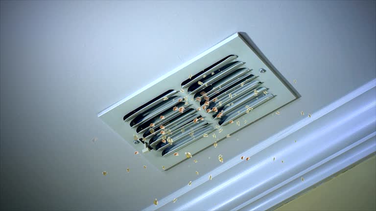 Best Emergency Air Duct Cleaning  in Bothell East, WA