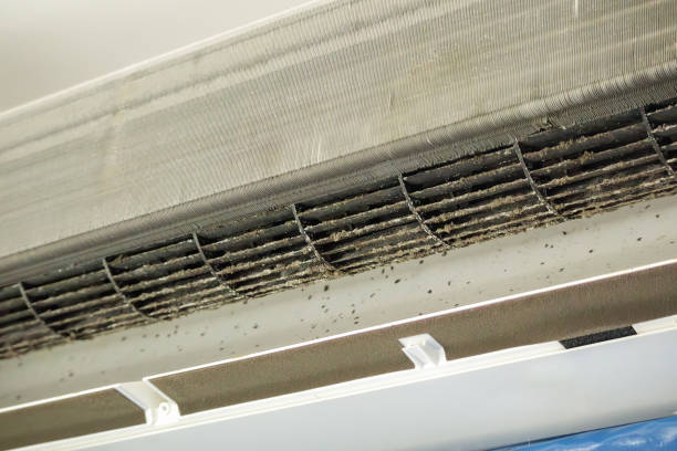 Best Ventilation Cleaning Services  in Bothell East, WA